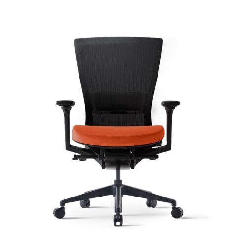 Ghế lưng trung RADE120-4MR