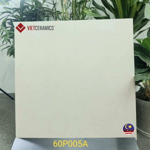 Gạch porcelain lát nền TITAN