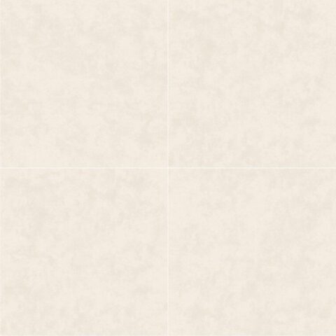Gạch porcelain lát nền TITAN