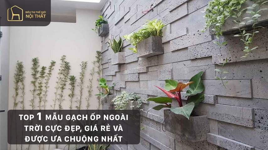 Top 20+ mẫu gạch ốp ngoài trời cực đẹp và rẻ được ưa chuộng nhất hiện nay