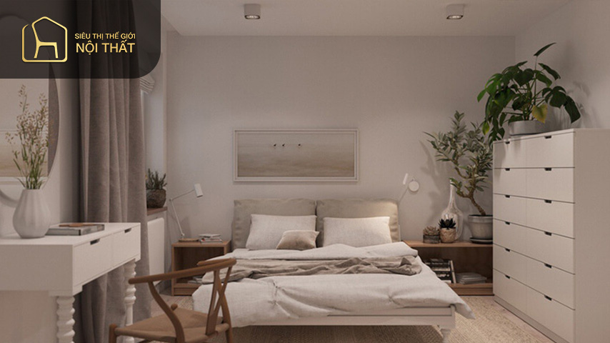 Dùng những cây xanh nhỏ để trang trí phòng ngủ không cửa sổ giúp thanh lọc không khí mang lại sự trong lành cho căn phòng