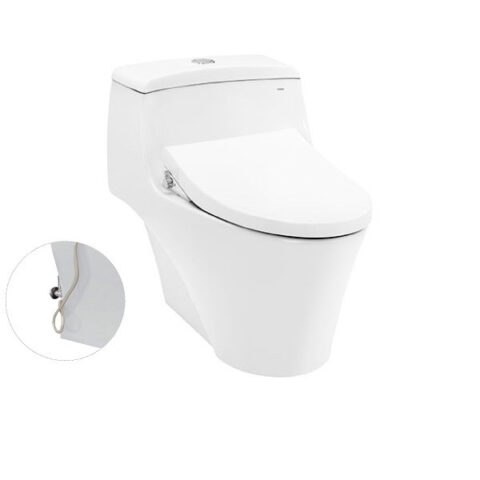 Bàn cầu một khối, nắp đóng êm kèm vòi rửa nước lạnh TCW1211A