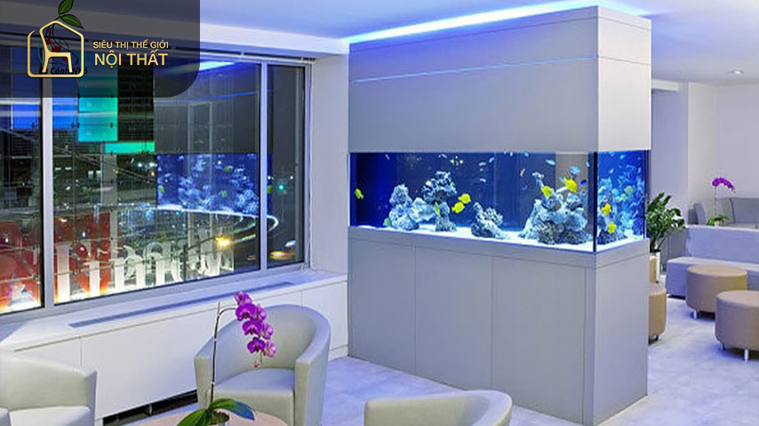 Đặt bể cá gần khu vực vệ sinh dễ gây mầm bệnh xấu