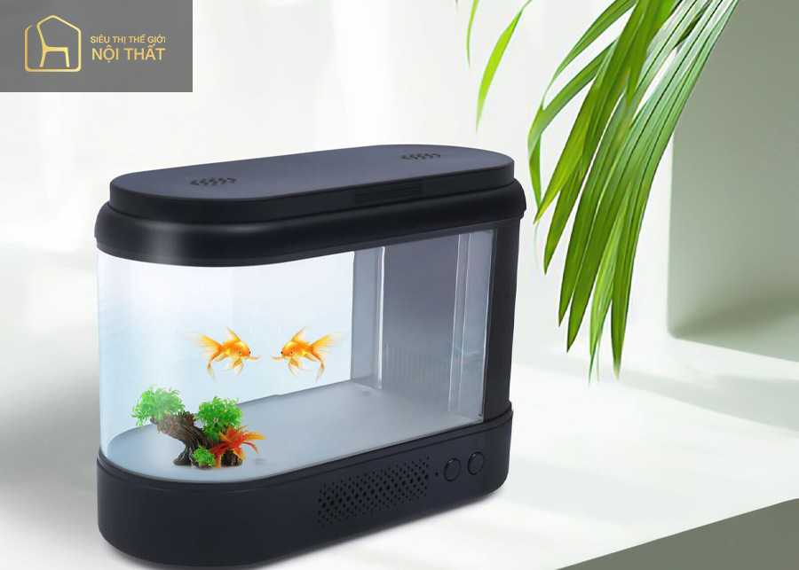Bể cá mini là món đồ may mắn của người mệnh Thủy