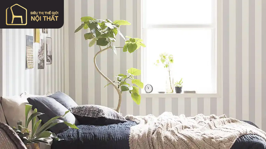 Giấy dán tường kẻ sọc trang trí phòng ngủ