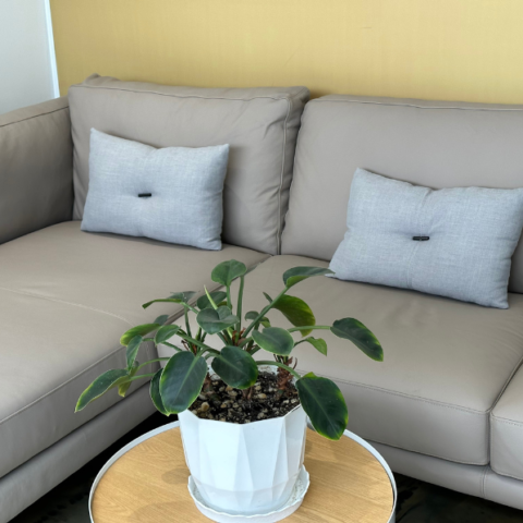 Sofa góc L Julius 7