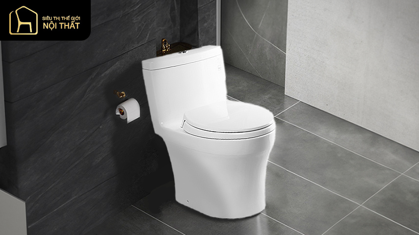 cách chọn bồn cầu