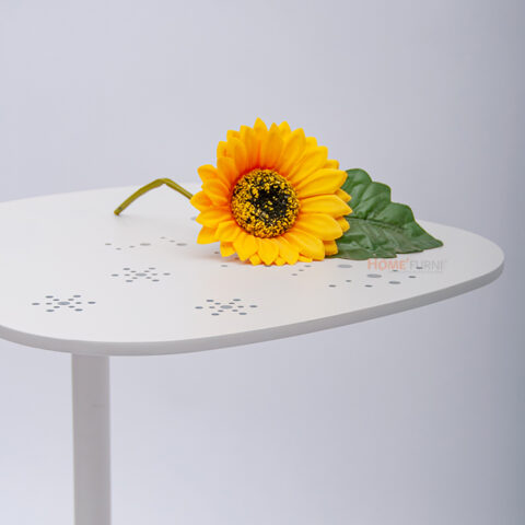 Bàn sofa 0005