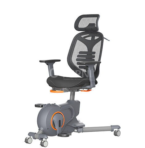 Xe đạp tập thể dục kèm lưng ghế BIKEX 3