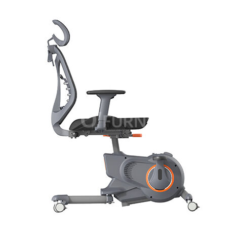 Xe đạp tập thể dục kèm lưng ghế BIKEX 3