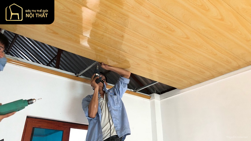Trần tôn xốp là gì? Phân loại và ứng dụng của nó trong đời sống