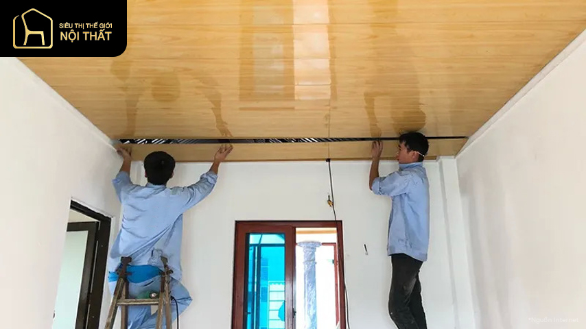 Trần tôn xốp là gì? Phân loại và ứng dụng của nó trong đời sống