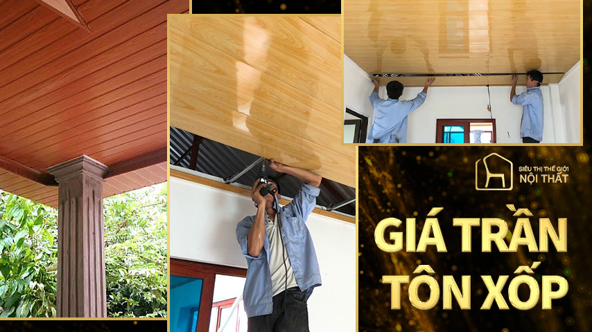 Trần tôn xốp là gì? Phân loại và ứng dụng của nó trong đời sống