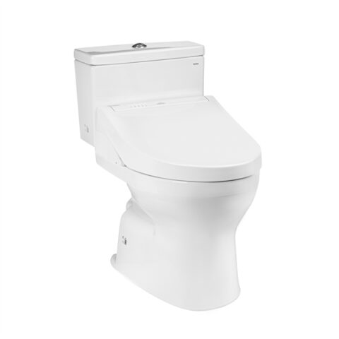 Bàn cầu 2 khối