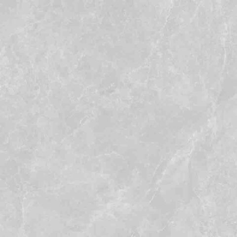 Gạch ốp lát HF-EQ126067 1200X600X9