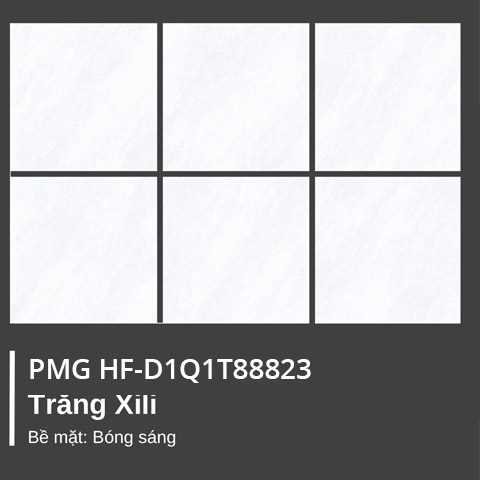 Gạch ốp lát HF-DIQ1T88823