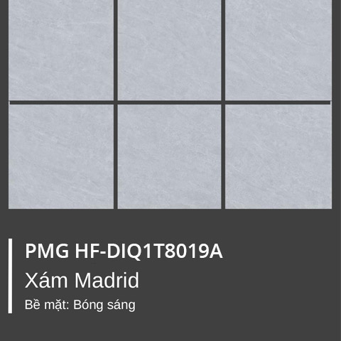 Gạch ốp lát HF-DIQ1T8019A
