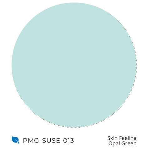 PMG-SUSE-013