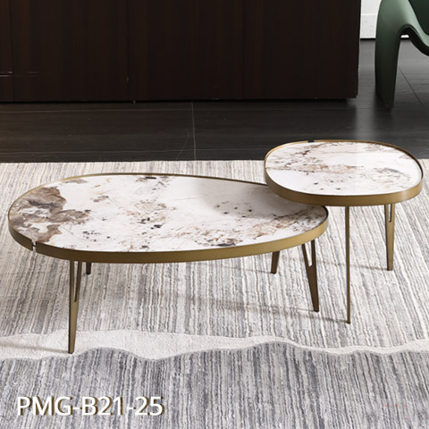 bàn sofa B21-25